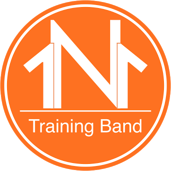1N1 Training Band: Anti-aging