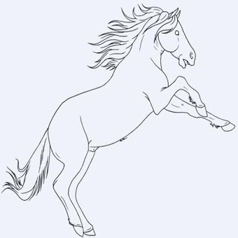 270+ Contoh Cara Menggambar Kuda