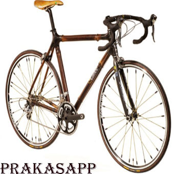 Бамбуковый дизайн велосипедов