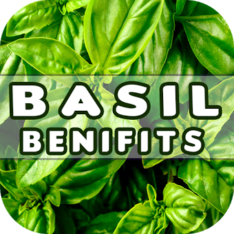 Basil Benefits