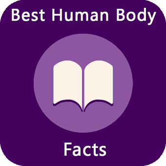 Best Human Body Facts