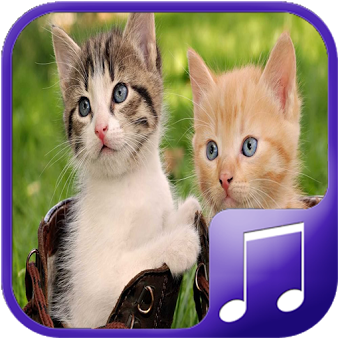 Cat Sounds – Cat Noises App