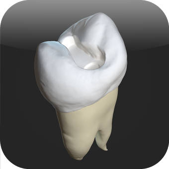 CavSim - Dental Cavity Preps