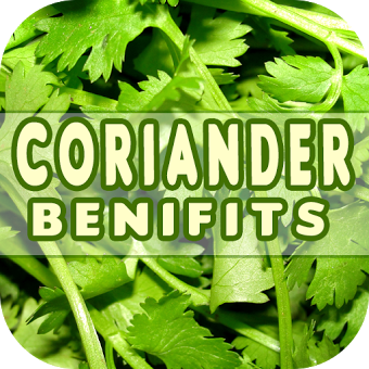 Coriander Benefits