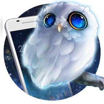 Cute Owl Theme: Can’t sleep night