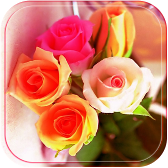 Цветок роза тема свадьба