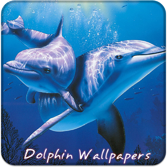 Дельфин 4K Бесплатные обои