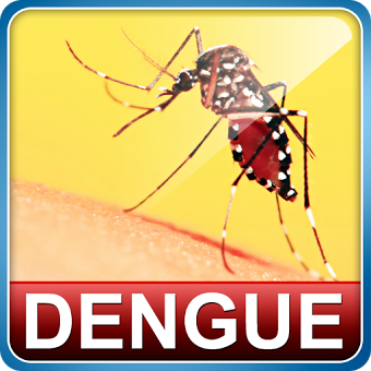 Dengue Fever Cure Home Remedies for Adults & Kids