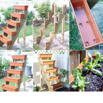 DIY вертикальный сад Идеи