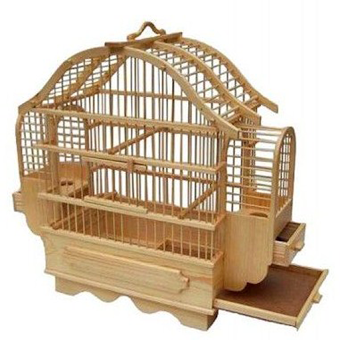 Дизайн Bird Cage