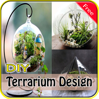 Дизайн DIY Terrarium