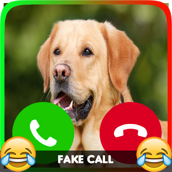 Dog Calling