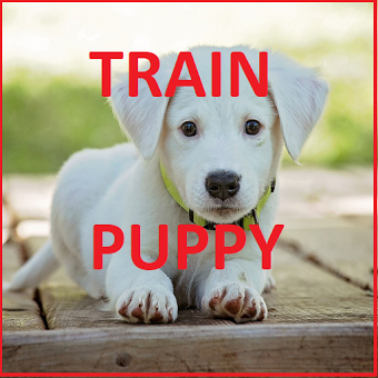 Dog Training In 30 Days