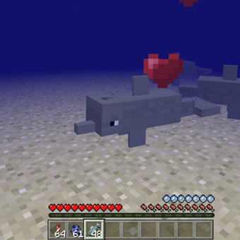 Dolphins Addon for Minecraft