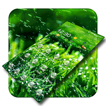 Дождливый трава зеленая свежая
