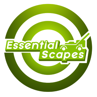 Essential Scapes
