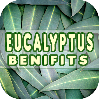 Eucalyptus Benefits