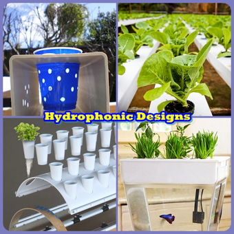 Идеи для гидропонных плантаций DIY
