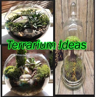 Идея Террариум