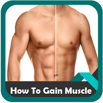 Как набрать мышцы