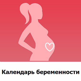 Календарь беременности 2015