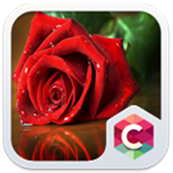 Красная роза: тема с цветами