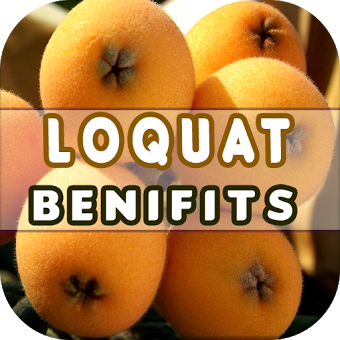 Loquat Benefits