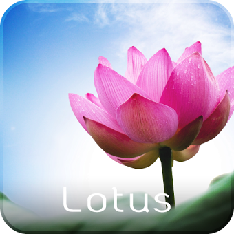 Lotus Live Wallpaper