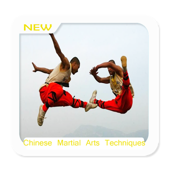 Методы китайского боевого искусства