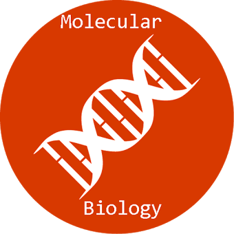 Молекулярная биология