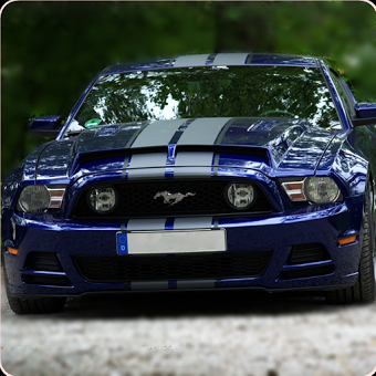 Mustang Sport Cars Wallpapers
