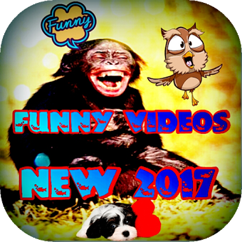New Top Funny Videos
