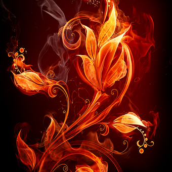 Огонь любит цветы
