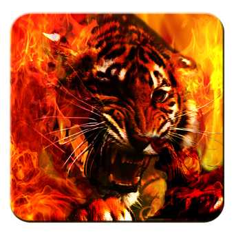 Огонь тигр жить обои