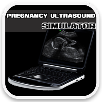 Pregnancy Ultrasound Simulator