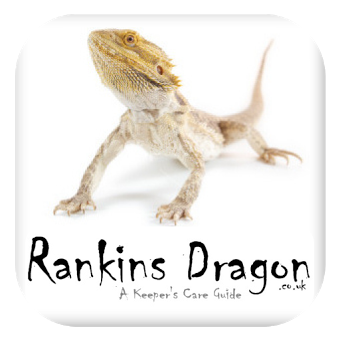 Rankins Dragon Mobile