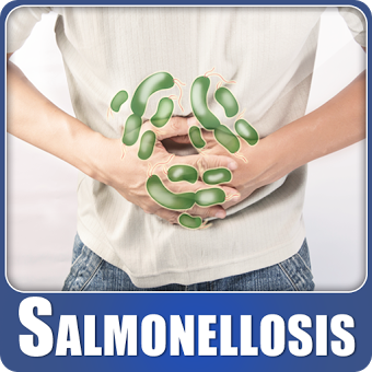Salmonellosis Food Poisoning and Infection Help