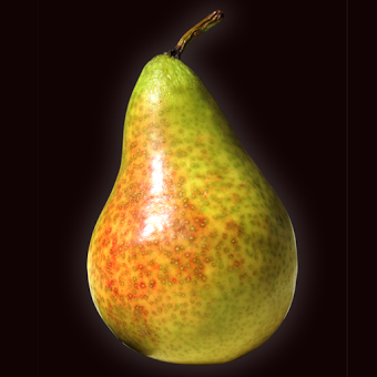 Shakes Pear: The Organic Bard