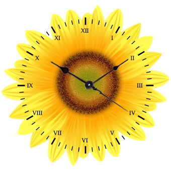 Sunflower Clock Live wallpaper