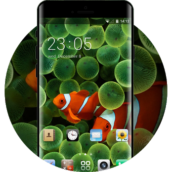 Theme for Original iPhone Clownfish Wallpaper HD