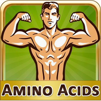 Top Amino Acid rich Diet Foods