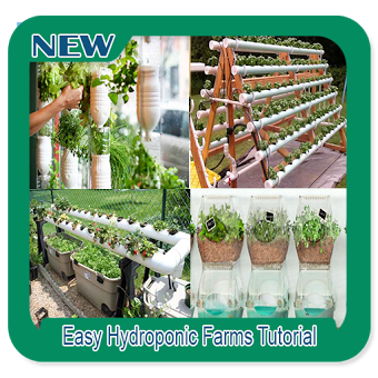 Учебник Easy Hydroponic Farms